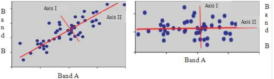 Figure 2. Rotated coordinates axes used in principal component analyses(Source: Lillesandet al., 2004)