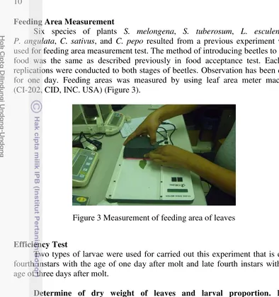 Figure 3 Measurement of feeding area of leaves 