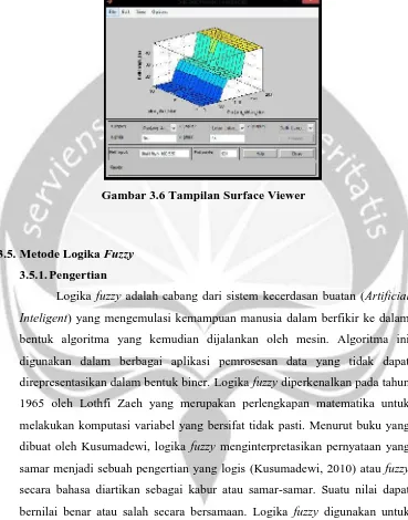 Gambar 3.6 Tampilan Surface Viewer
