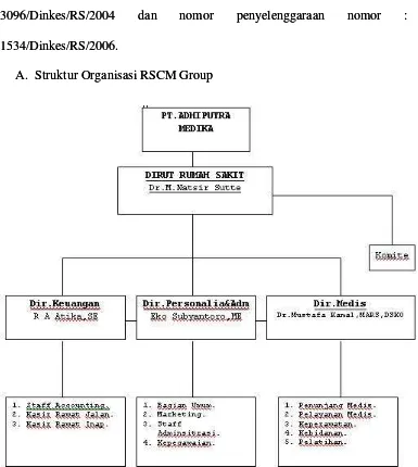 Gambar  4.1 Struktur Organisasi RSCM Group Gambar  4.1 Struktur Organisasi RSCM Group 