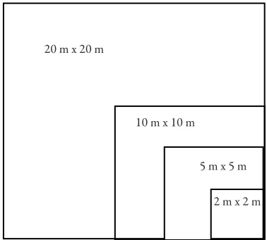 Figure 2. Design of the study plot for vegetation analysis