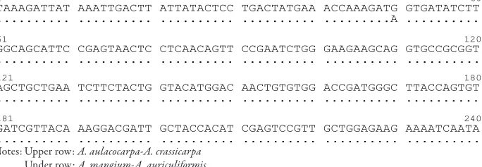 Figure 1. Sequences of rbcL of the four Acacia species