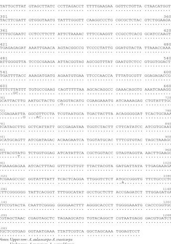 Figure 1. (continued)