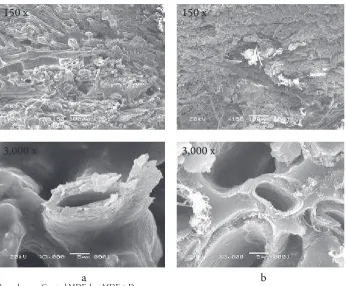 Figure 3. SEM analysis on the surface of MDF samples