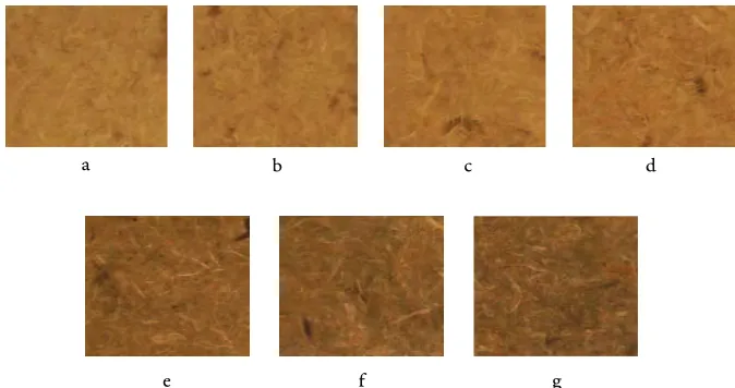 Figure 2. Visual observation: the surface of MDF