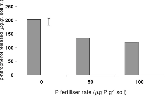 Figure 2. Effect of P fertilizer rates on acid phosphatase activity in soil (mean of plant combinations, and rhizosphere and bulk soils)