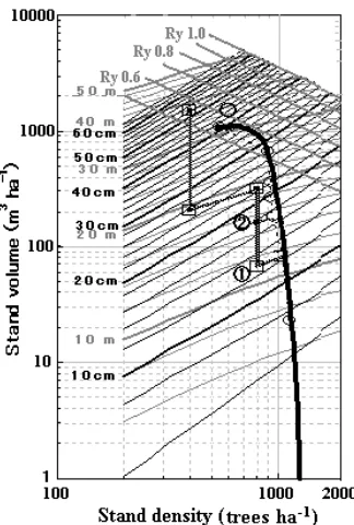 Figure 8. ���������������������������������������������������������������2m x 3m spacing and thinning option