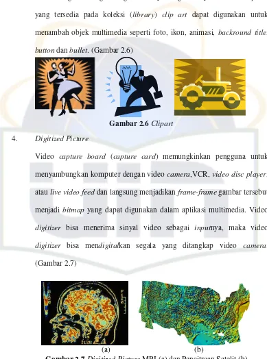 Gambar 2.7 Digitized Picture MRI (a) dan Pencitraan Satelit (b) 