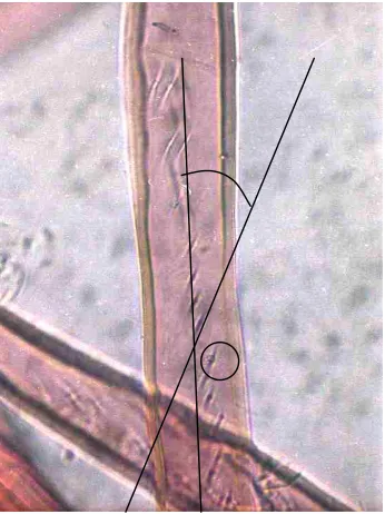Figure 2. ��������������������������