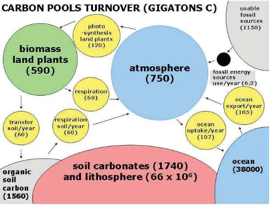 Figure 1. Global carbon cycle: pools and turnover rates 
