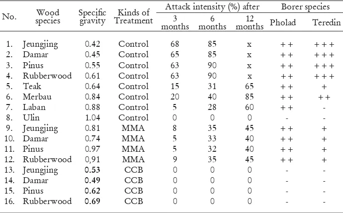 Table 1. The intensity of marine borer infestation on test wood pieces