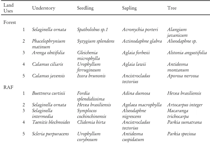 Table 3. The Þ ve commonest species in forest and RAF, in Bungo district, Jambi