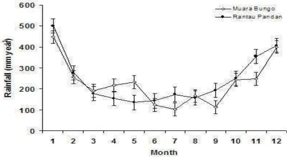 Figure 2. Yearly rainfall for climate stations in Muara Bungo and Rantau Pandan. Bars show standard error of mean (Data: ICRAF).