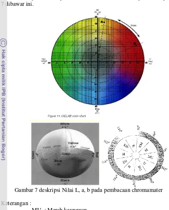 Gambar 7 deskripsi Nilai L, a, b pada pembacaan chromamater 