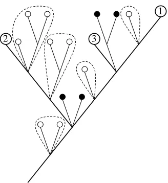 Figure 2: We display an example ofdashed lines, white leaves) and further subtrees in the branch points of S(T16,[3]), seven skeletal subtrees in ﬁve skeletal bushes (within the S(T16,[3]) (with black leaves).