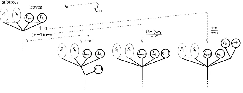 Figure 1: Sequential growth rule: displayed is one branch point of Tand one inner edge only; the three associated possibilities forattached to it; all edges also carry weights, weight 1n with degree k + 1, hencevertex weight (k − 1)α − γ, with k − r leaves Lr+1,..., Lk ∈ [n] and r bigger subtrees S1,...,Sr − α and γ are displayed here for one leaf edge Tn+1 are displayed.