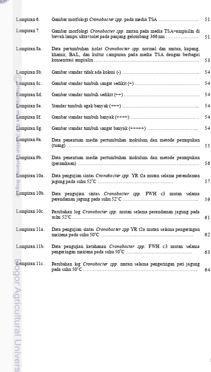 Gambar morfologi Cronobacter spp. pada media TSA ……………………. 