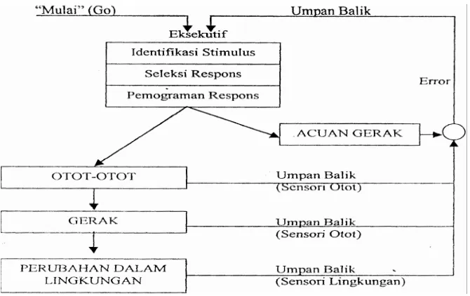 Gambar  5. Teori skema dalam gerak (Schmidt, R. A 1975 : 489) 