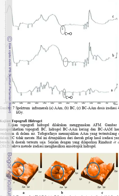 Gambar 8 Topografi AFM BC (a), BC-AAm kering dosis  iradiasi 40 kGy (b), 