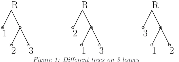 Figure 1: Diﬀerent trees on 3 leaves