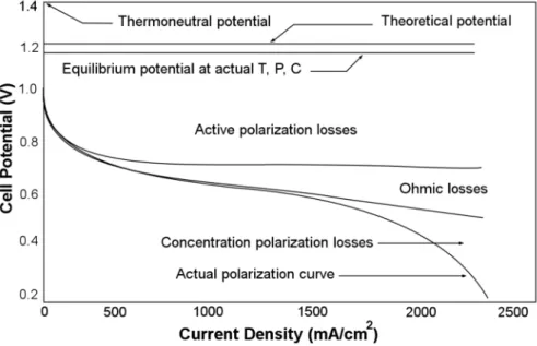 Figure 3.13. Typical polarization curve for a PEMFC [14]. (Modified from Barbir F. PEM  fuel cells: theory and practice