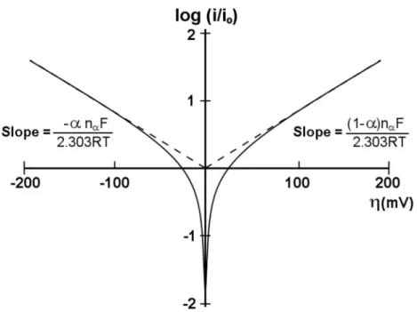 Figure 1.10. Tafel plot for cathode and anode branches of the current–voltage curve [19]