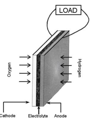 Figure 1.18. Membrane electrode assembly in a fuel cell [3]. (From Larminie J, Dicks A