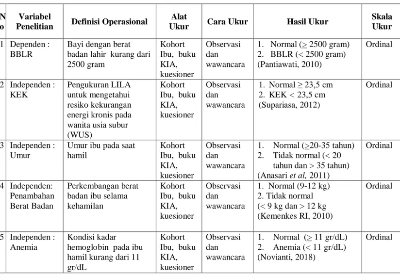 Tabel 3.1 Defenisi Operasional  N
