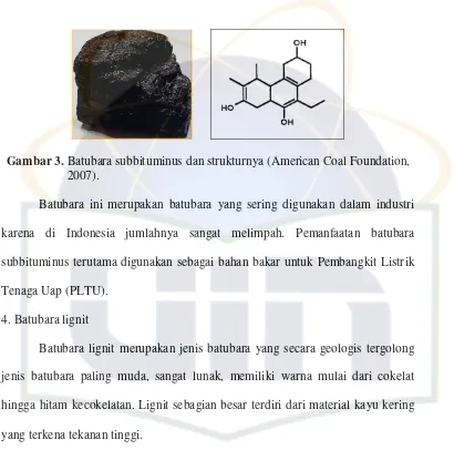 Gambar 4. Batubara lignit dan strukturnya (American Coal Foundation, 2007). 
