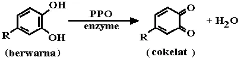 Gambar 7.  Reaksi oksidasi oleh enzim fenol oksidase (www.brsquared.org). 