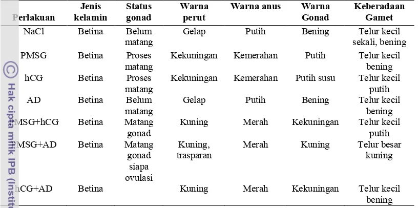 Tabel 4.3 Status kelamin dan ciri-ciri belut sawah matang gonad hasil induksi 
