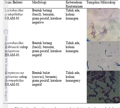 Tabel 3. Morfologi dan gambar kultur stater yoghurt probiotik 