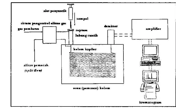 Gambar 7 Bagan alat kromatografi gas (Douglas 2010) 