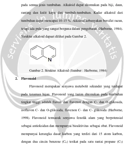 Gambar 2. Struktur Alkaloid (Sumber : Harborne, 1984) 