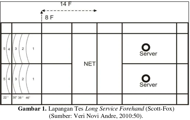 Gambar 1. Lapangan Tes Long Service Forehand (Scott-Fox) 