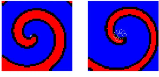 Figure 1:Spiral wave patterns (model see section 6). Shown on the left is a rigidlyspiral wave, with parameterrotating spiral wave with parameters as in section 6, on the right is a meandering a = 0.65 instead of a = 0.8