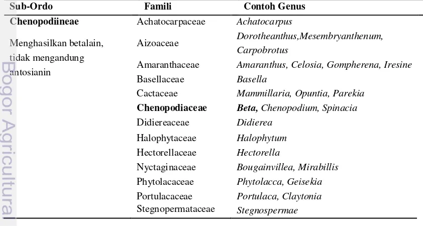 Tabel 6. Ordo Caryophyllales yang menghasilkan betalain dan antosianin. 