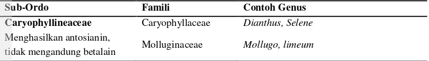 Tabel 6. Ordo Caryophyllales yang menghasilkan betalain dan antosianin (Lanjutan). 