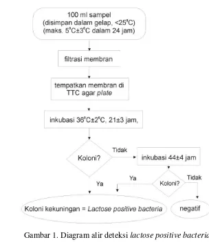 Gambar 1. Diagram alir deteksi lactose positive bacteria 