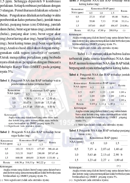 Tabel 3 Pengaruh NAA dan BAP terhadap beratkering kalus (mg)