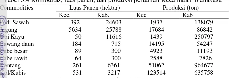 Tabel 5.4 Komoditas, luas panen, dan produksi pertanian Kecamatan Wanayasa 