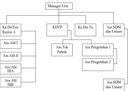 Gambar 4.1 Struktur Organisasi PT Anugerah Sawit Makmur 