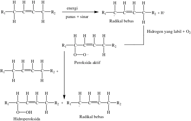Gambar 2.1. Struktur Oksidasi Pembentukan Peroksida dan Hidroperoksida 