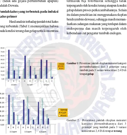 Gambar 1  Persentase jumlah eksplan menurut kategori