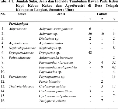Tabel 4.1.  Jumlah Suku, Jenis dan Individu Tumbuhan Bawah Pada Kebun Kopi, Kebun Kakao dan Agroforestri di Desa Telagah, 