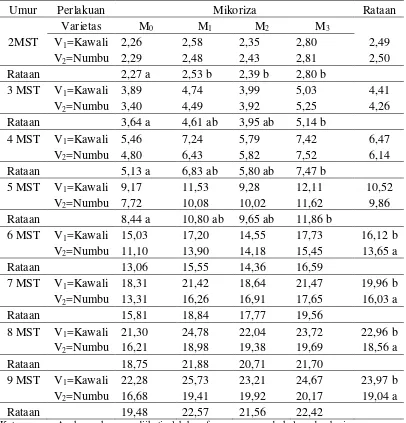 Tabel 3.Diameter batang (mm) dengan perlakuam varietas dan inokulasi mikoriza umur  2 MST - 9 MST
