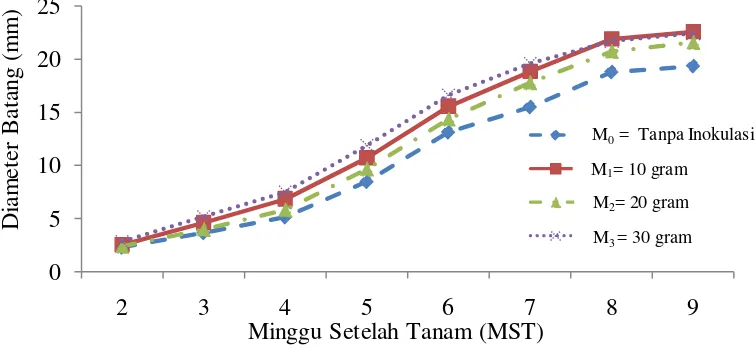 Gambar 8.  Pertumbuhan diameter batang umur 2 MST – 9 MST pada perlakuan  inokulasi mikoriza