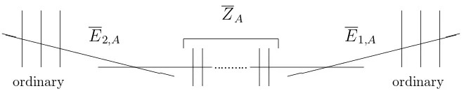 Figure 1: Partial Graph of the Stable Reduction of X0(p3)