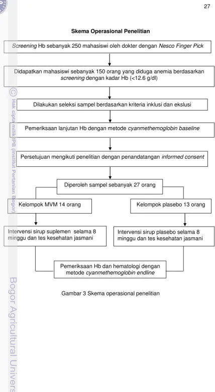Gambar 3 Skema operasional penelitian 