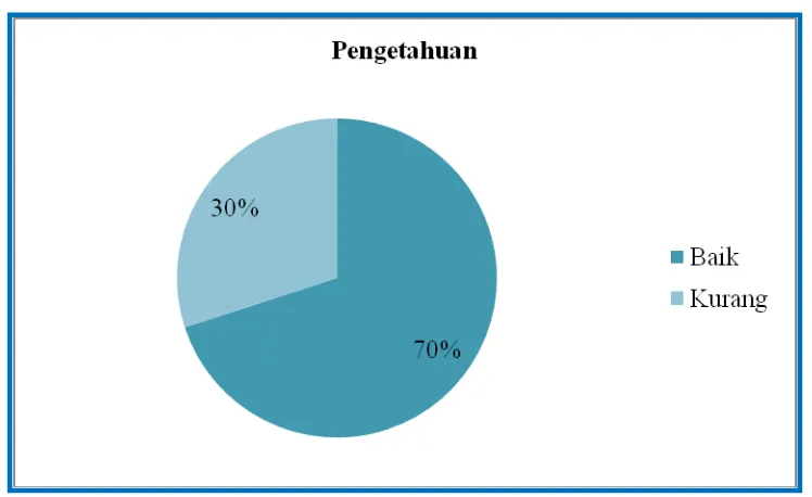 Gambar 5.2 Diagram Pie Distribusi Proporsi Tingkat Kategori Berdasarkan 